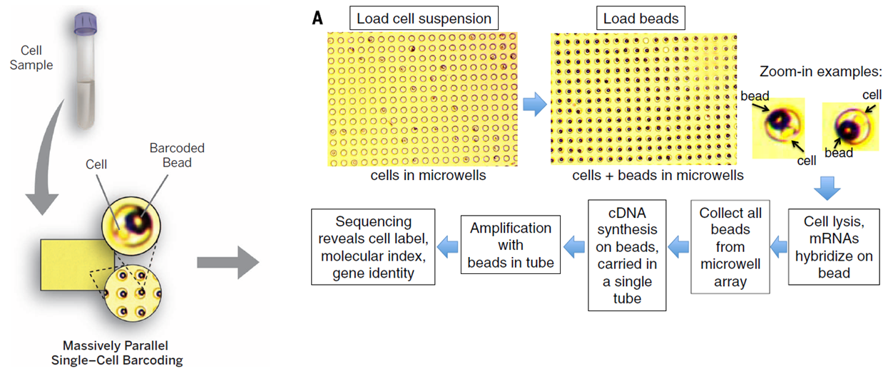 20190814061722_97875 20190814061722_97875