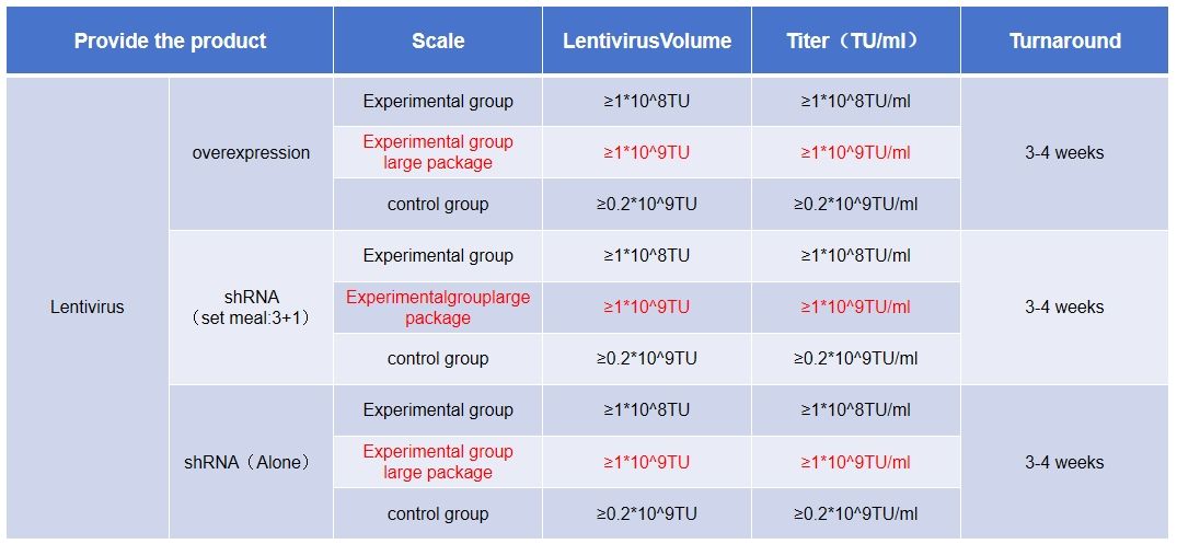 微信截圖_20240221174518 微信截圖_20240221174518