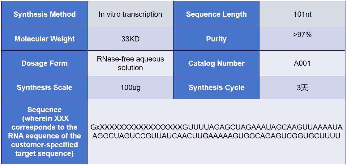 微信截圖_20240221172007 微信截圖_20240221172007