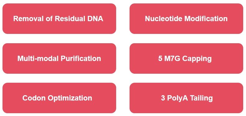 微信截圖_20240222135359 微信截圖_20240222135359