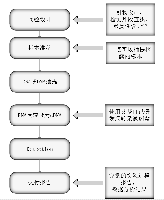 圖片1